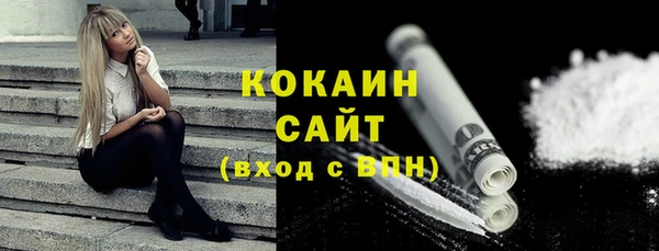 прущие грибы Верея