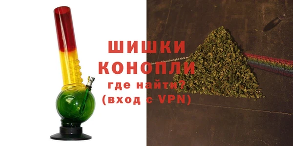 прущие грибы Верея