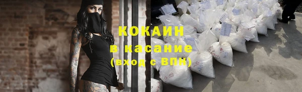 прущие грибы Верея