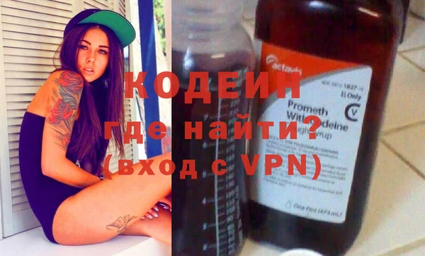 прущие грибы Верея
