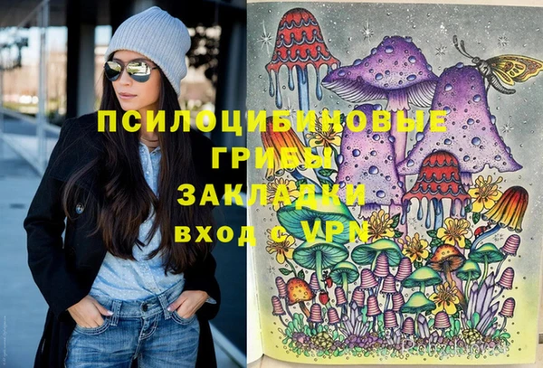 прущие грибы Верея