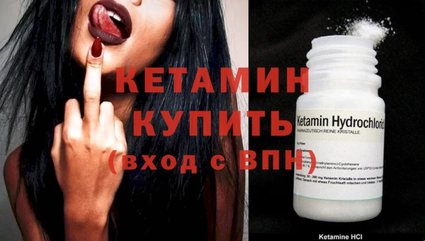 прущие грибы Верея