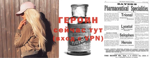 прущие грибы Верея
