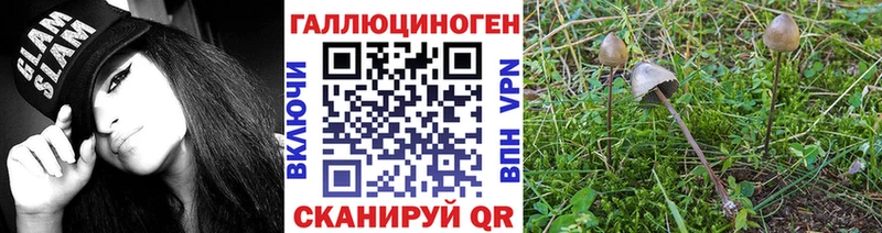 Галлюциногенные грибы Magic Shrooms  Купить закладки  Нарьян-Мар 